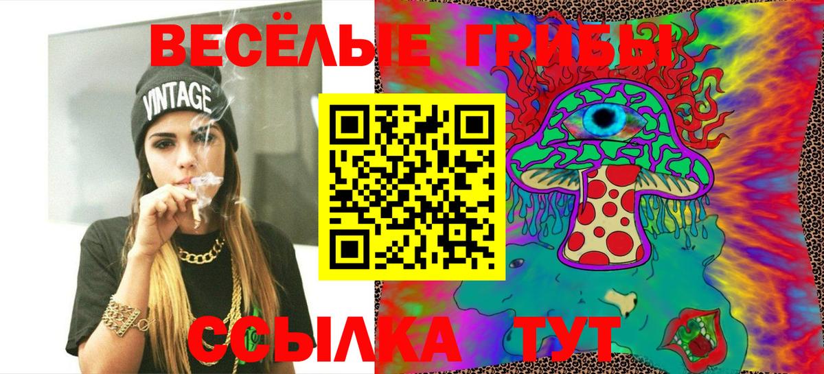 Галлюциногенные грибы прущие грибы  Псилоцибиновые грибы Cubensis  Чебоксары  Вход с VPN 