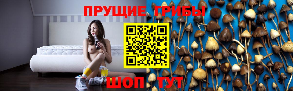 Псилоцибиновые грибы MAGIC MUSHROOMS Чебоксары