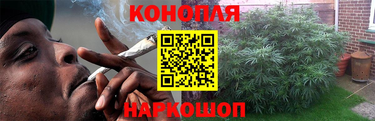 Шишки марихуана план  Вход с VPN  Чебоксары  Бошки Шишки семена  МАРИХУАНА Ganja 